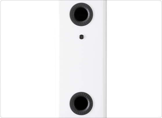 Monitor Audio Gold 200 - cecha 1